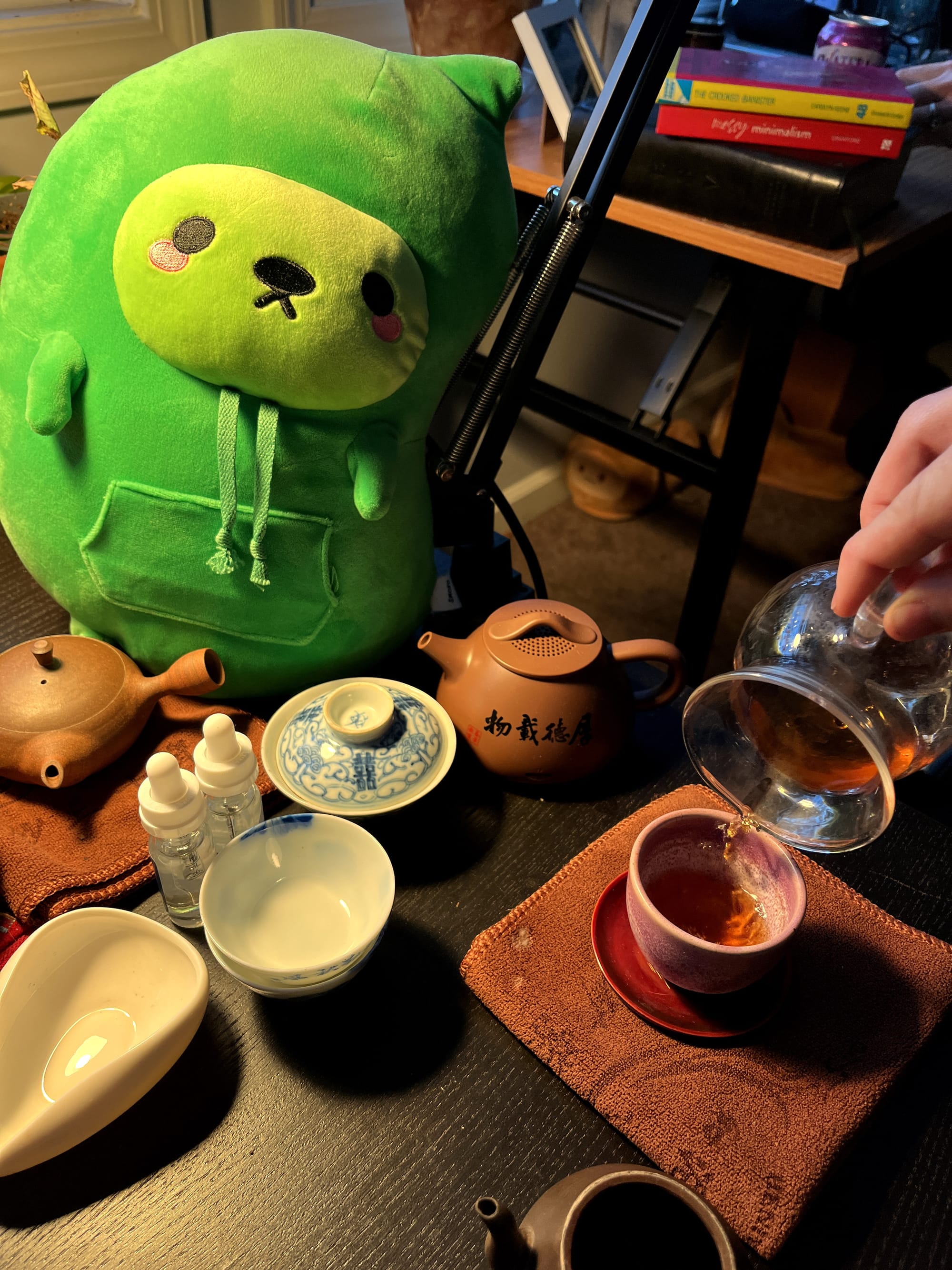 Ed the edamame bean with his cute little sewn in functional hoodie watching me brew